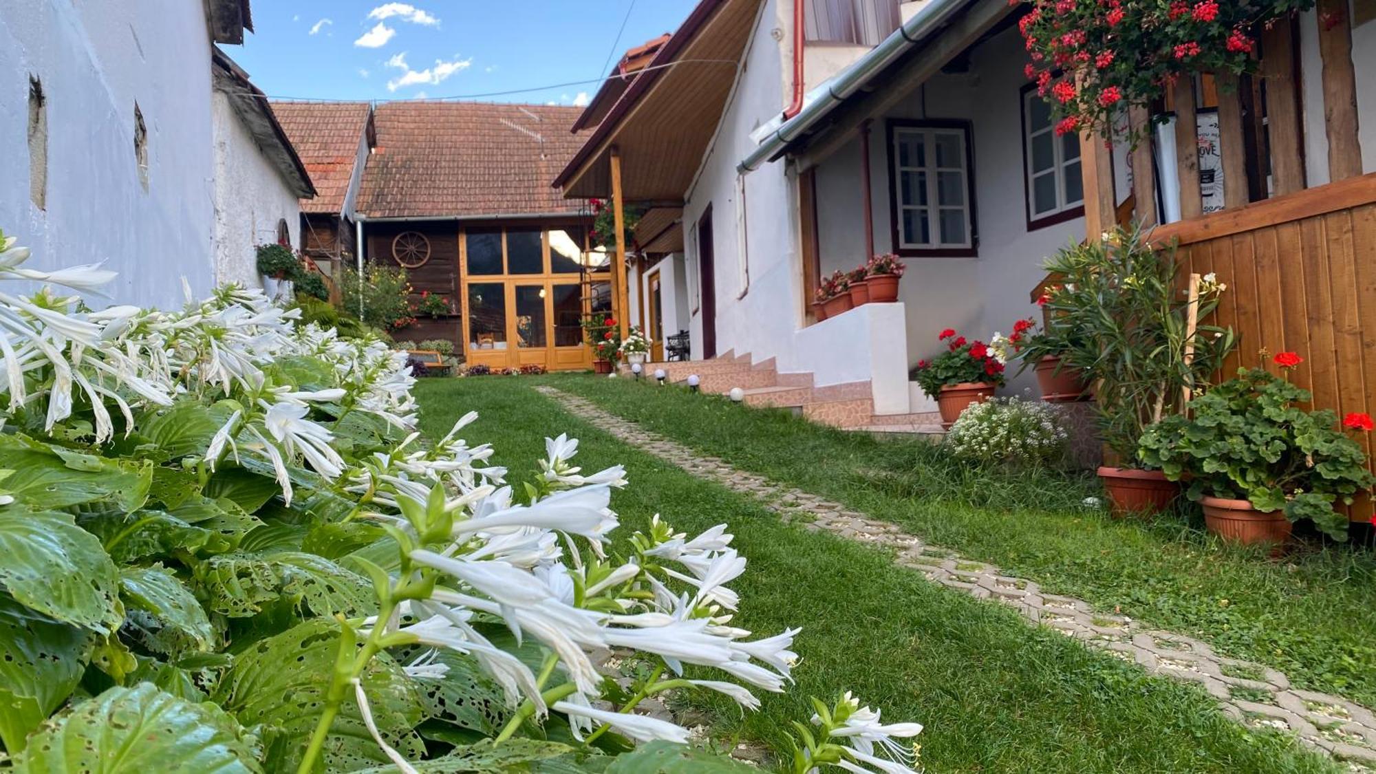 Hotel Casa Kelemen Irén Rimetea Exterior foto